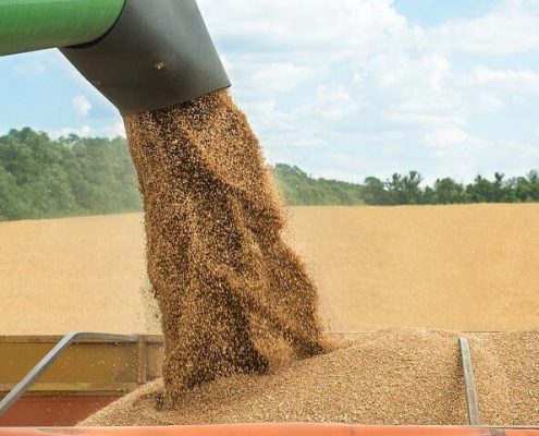 ۱۰ کشور برتر تولید کننده محصولات کشاورزی| ایران رتبه نخست تولید پسته و جایگاه سیزدهم منطقه در سال ۲۰۲۰