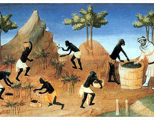 تاریخچه ادویه