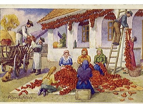 تاریخچه پاپریکا