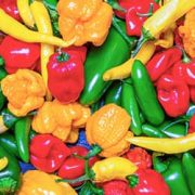 انواع پاپریکا