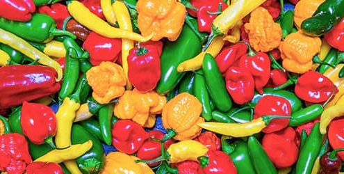 انواع پاپریکا