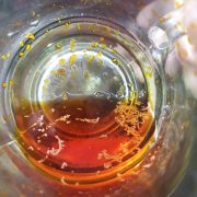 دم کردن زعفران