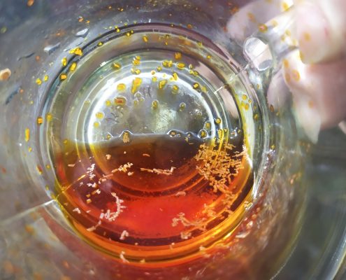 دم کردن زعفران