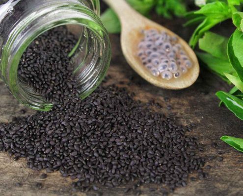 تفاوت دانه چیا با تخم شربتی و تخم ریحان