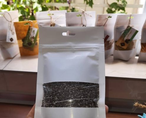 خواص شگفت انگیز دانه چیا