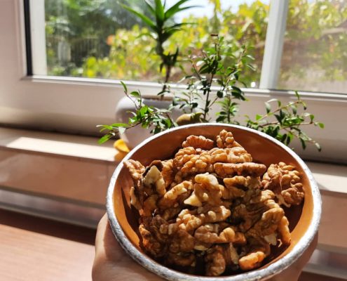 تشخیص گردوی تازه