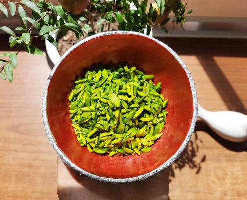 روش نگهداری پسته