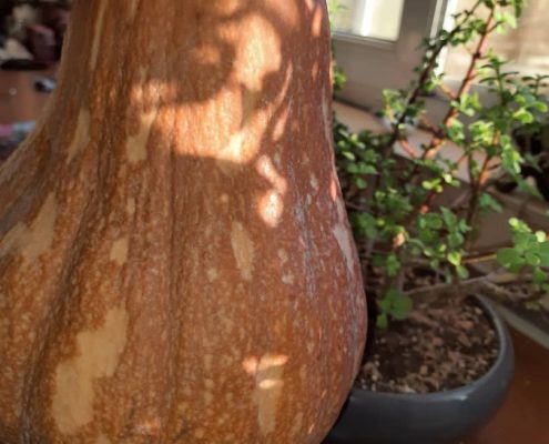 طرز تهیه کاکا با دارچین