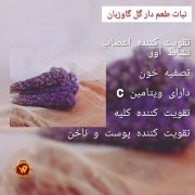 خواص گل گاوزبان